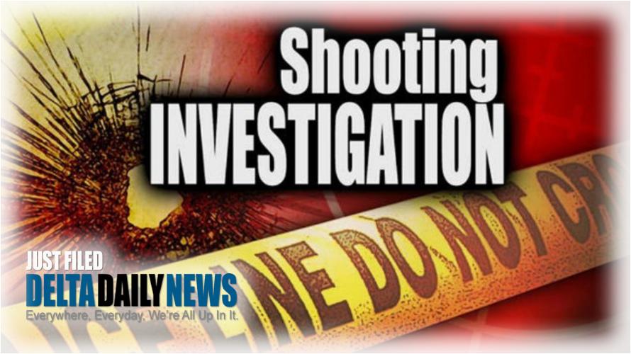 Shooting in Hollandale