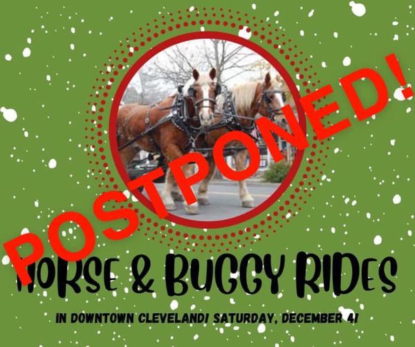 Cleveland Horse And Buggy Rides To Be Rescheduled