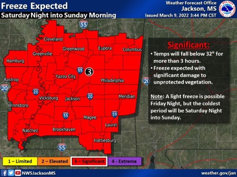 Weekend Freeze Could Cause Damage to Vegitation