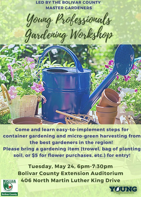 Cleveland Bolivar Young Professionals Host Gardening Workshop
