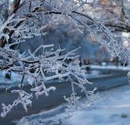 More Severe Weather Expected for North Mississippi