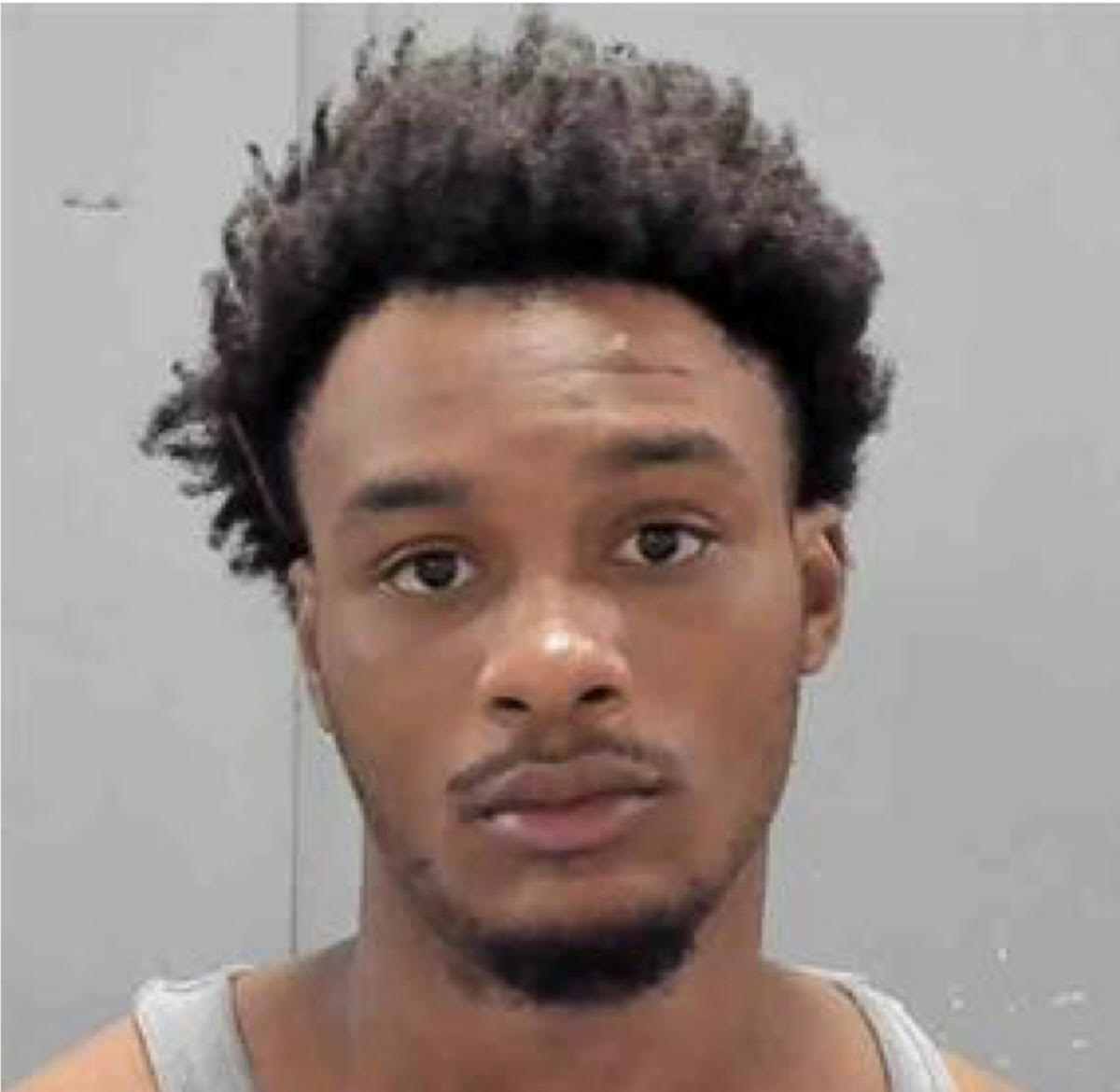 Greenville Man Arrested for Vehicle Theft