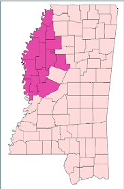 Winter Weather Advisory Issued for Northern Delta: Ice, Sleet, and Extreme Cold Expected