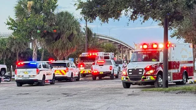 Woman attacked by alligator while swimming with dog, boyfriend: Sheriff