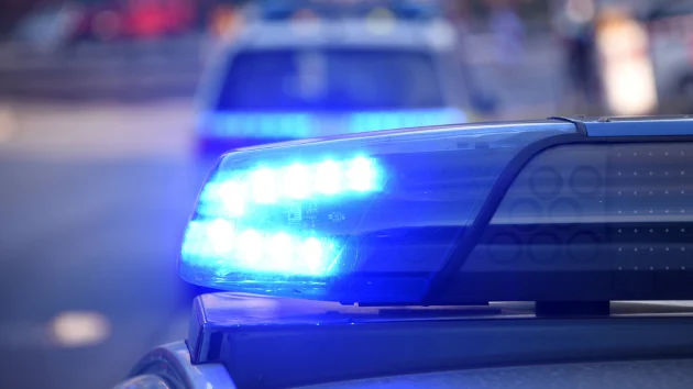 Panola County Sheriff’s K-9 Officer Kira Dies After Five Years of Service