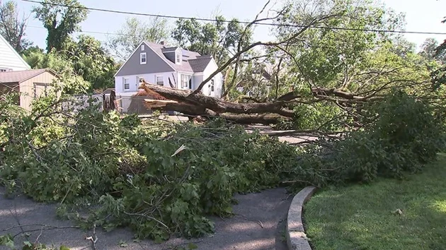 Deadly storm slams New Jersey, hard-hit town cancels 4th of July celebration