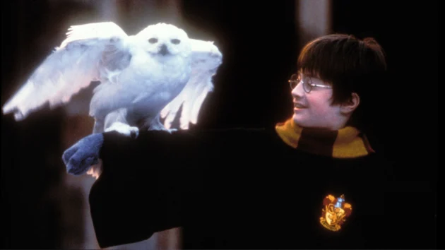 ‘Harry Potter’ director Chris Columbus does not want to be involved in upcoming HBO series