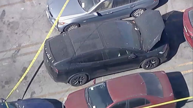 Decomposing body found in trunk of Tesla at Los Angeles impound lot: Police sources