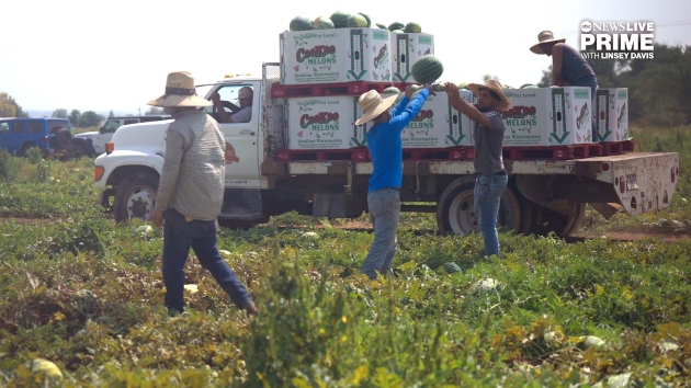 Family farm in Idaho faces worker shortage as Trump administration immigration raids escalate