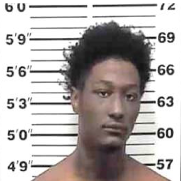 Greenville Man Arrested on Gun and Assault Charges