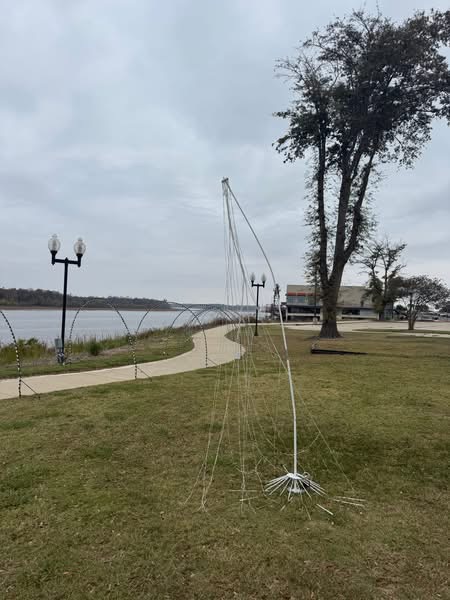 Greenville Mayor Condemns Vandalism of Waterfront Holiday Display