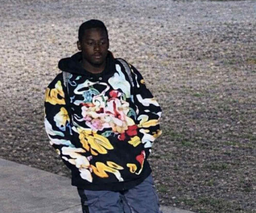 Clarksdale Police Seek Public’s Help in Vehicle Theft Investigation