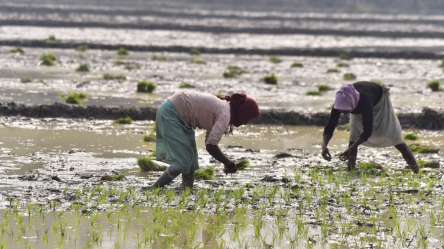 The planet has entered an era of ‘water bankruptcy,’ according to new UN report