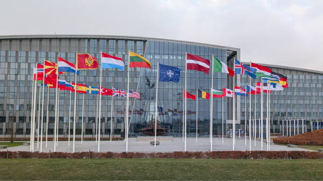 EU leaders talk coordination over Greenland as Trump readies for Davos meetings