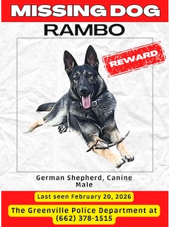 Greenville Police Seek Public’s Help in Locating Two Missing Dogs