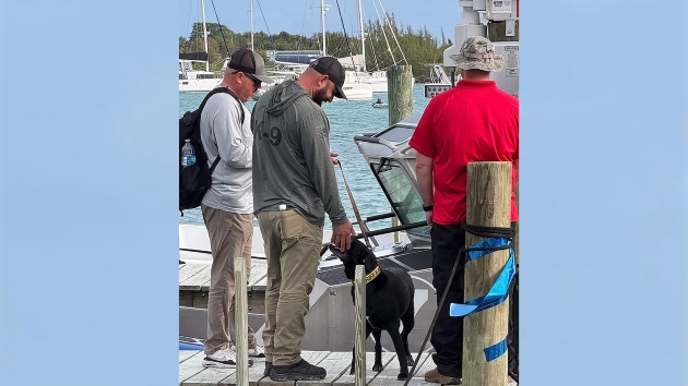 Daughter of American woman missing in Bahamas arrives to help with search