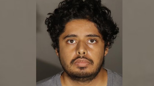 Mom stabbed to death in home, daughter stabbed and wounded; suspect in custody: Police