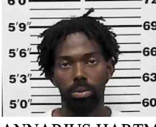 Multiple Firearms Seized Following Domestic Shooting Investigation in Greenville