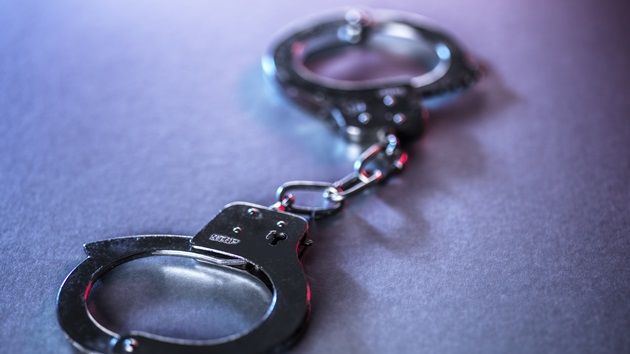 Suspect charged after 3-year-old boy wound up in crocodile enclosure released on bail