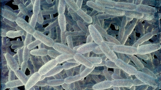 Nearly 2 dozen sickened in Legionnaires’ disease cluster in New York City