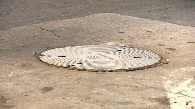 Family sues New York City utility over woman’s fatal manhole fall
