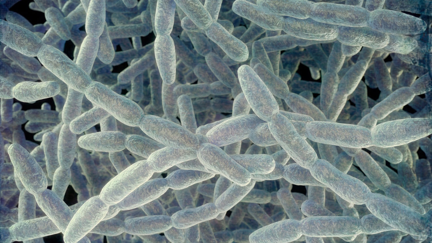 1 death, 5 cases as New York City health officials report another Legionnaires’ disease cluster