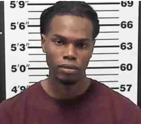 Greenville Traffic Stop Leads to Arrests and Recovery of Firearms and Suspected Narcotics