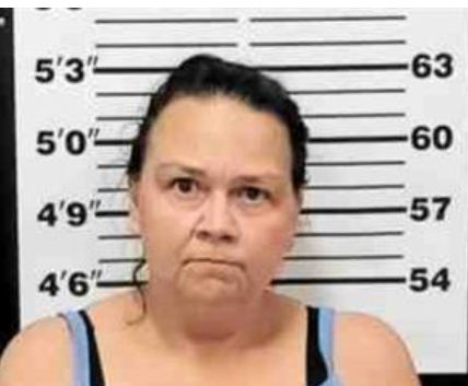 Greenville Woman Arrested on Methamphetamine Charge During Burglary Investigation