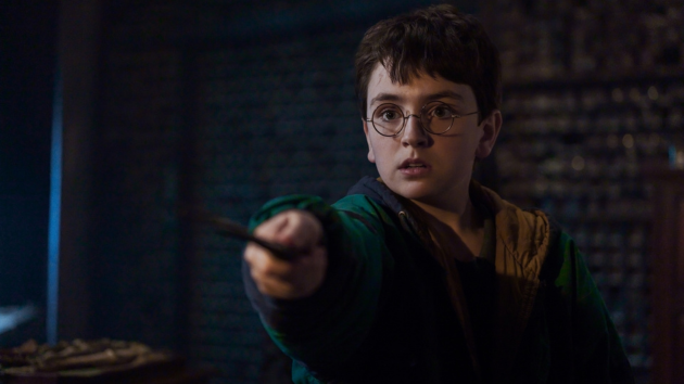 ‘Harry Potter’ HBO series casts Lily Potter, James Potter and Charlie Weasley