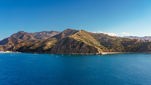 2 dead as medevac helicopter crashes off California’s Catalina Island