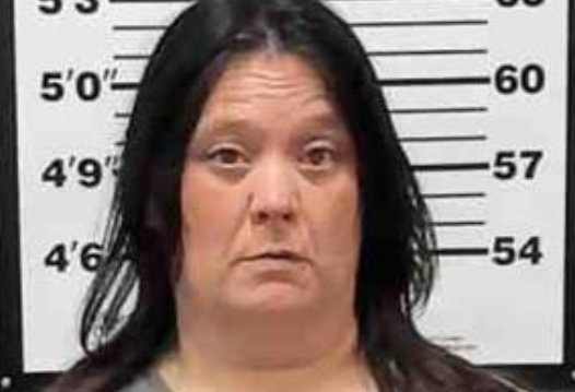 Greenville Police Arrest Passenger on Methamphetamine Charge after Traffic Stop