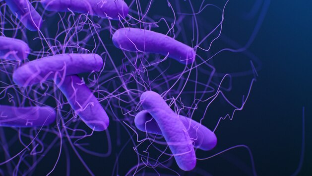 Drug-resistant germs are ‘growing threat’ to US, causing more than 50,000 deaths annually: CDC